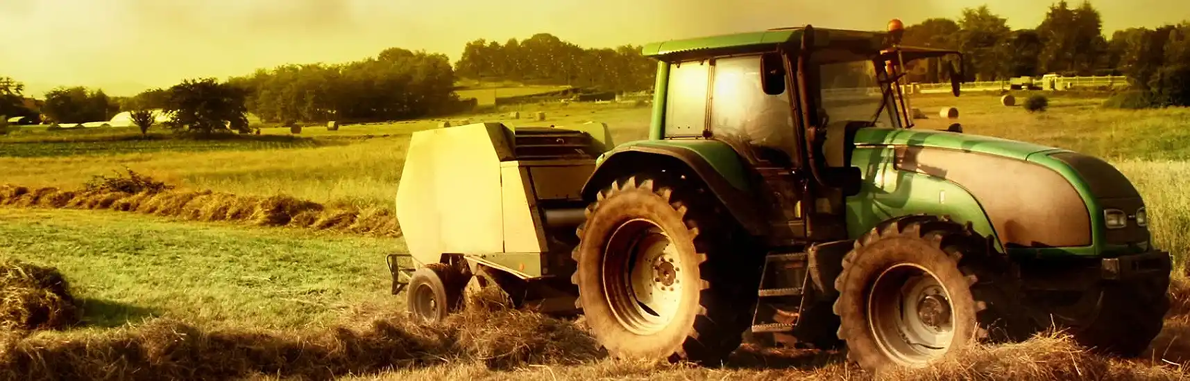 H-2A and H-2B Visa Consulting