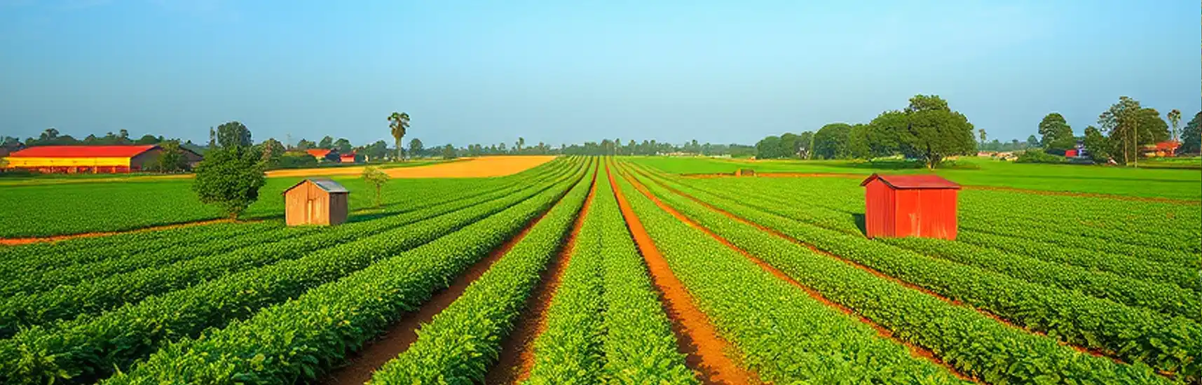 How the H-2A and H-2B Process Works